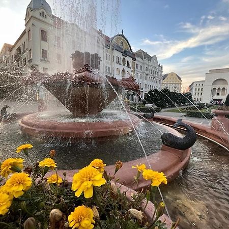 Downtown Apartment Timisoara Ngoại thất bức ảnh
