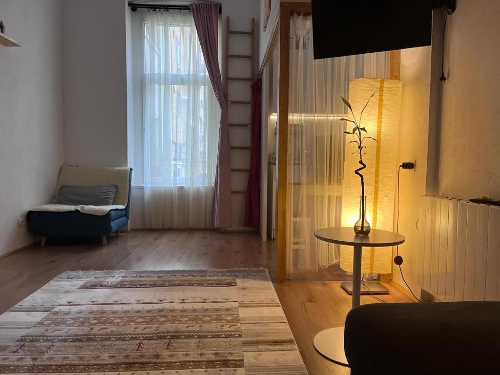 Downtown Apartment Timisoara Ngoại thất bức ảnh