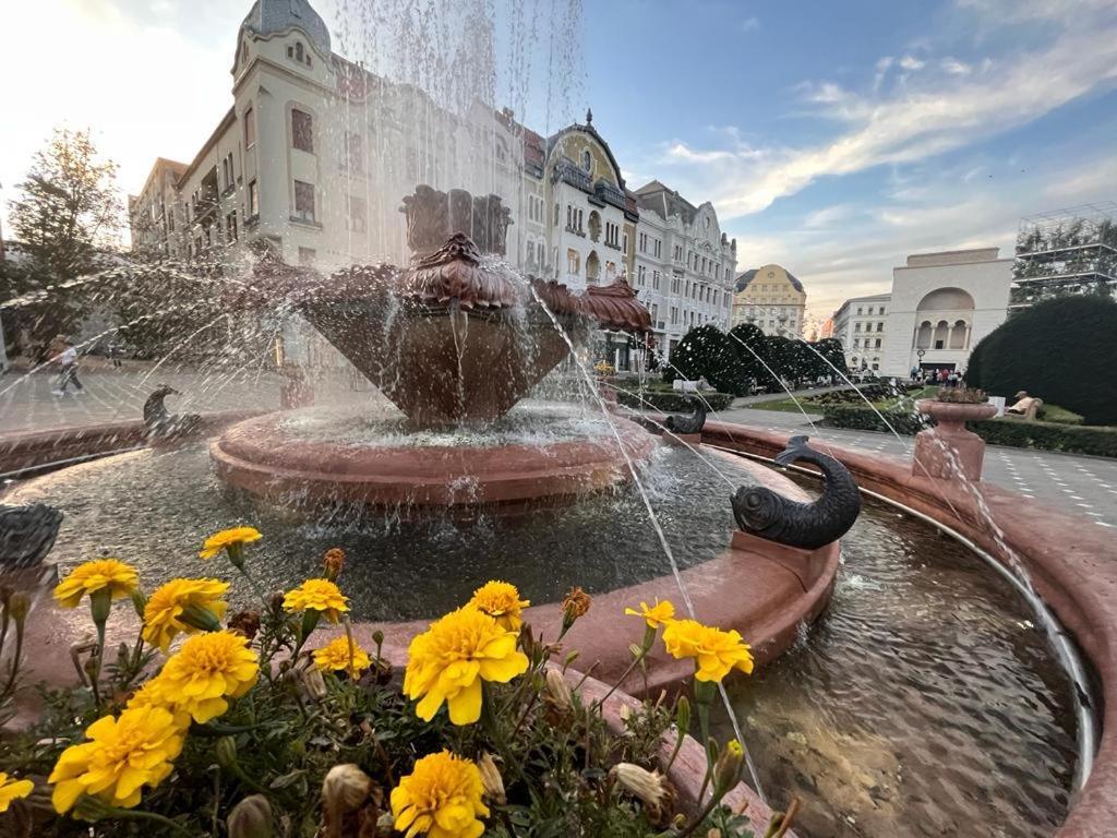 Downtown Apartment Timisoara Ngoại thất bức ảnh